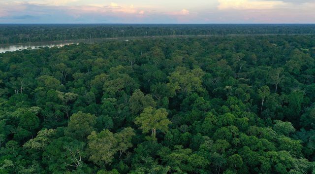Día Mundial del Medio Ambiente - Fórmula Entretenimiento Día Mundial del Medio Ambiente - Fórmula Entretenimiento