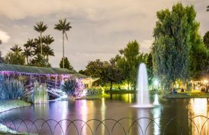 Así celebra el Jardín Botánico de Bogotá la Semana Ambiental Semana-ambiental-Jardín-Botánico-de-Bogotá-Fórmula-Entretenimiento