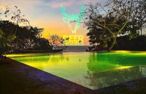 Deer Models & Friends presenta “Lonely in the mornings” Lonely in the mornings - Fórmula Entretenimiento