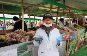 Agroexpo 2021: el reencuentro presencial de toda la cadena productiva del campo colombiano Agroexpo 2021 - Fórmula Entretenimiento