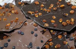 San Vicente de Chucurí presente en Chocoshow Chocoshow - Fórmula Entretenimiento
