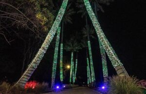 Prográmese con los horarios para la temporada de fin de año con Pacificanto Pacificando - Fórmula Entretenimiento