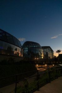 Jardín de Noche - Fórmula Entretenimiento