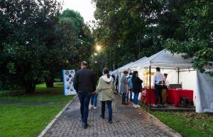 El Jardín Botánico ofrece su nueva experiencia en el “Jardín de Noche” Jardín de Noche - Fórmula Entretenimiento