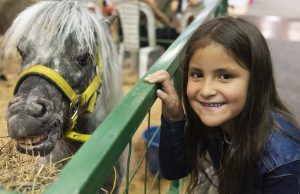 Expopet Colombia invita a emprendedores y petlovers a participar de su séptima edición Expopet 2022 - Fórmula Entretenimiento